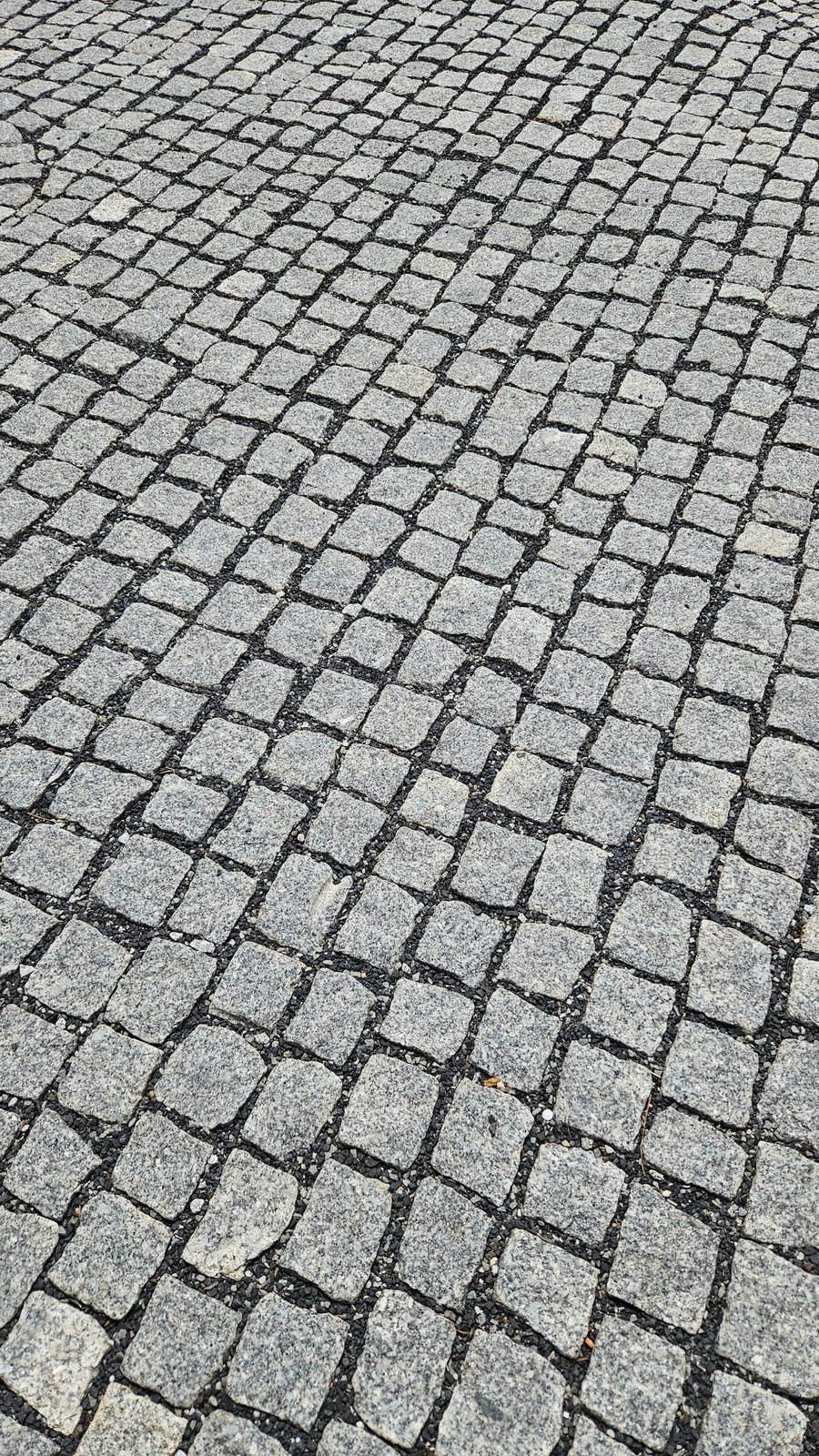 Granitpflastersteine Grau – verlegte Fläche